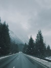 Road amidst trees during foggy weather