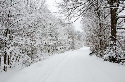 Snow covered road amidst trees during winter