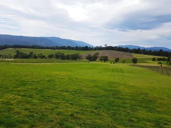 Scenic view of field against sky