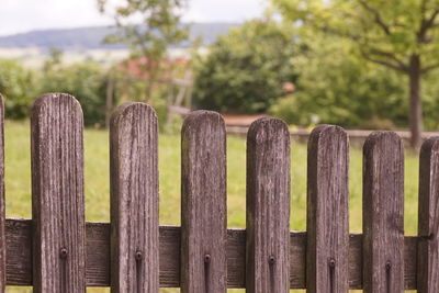 Close-up of wooden fence against trees