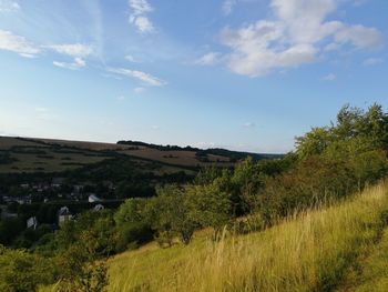 Plants growing on land against sky