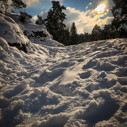 Scenic view of snow covered trees against sky