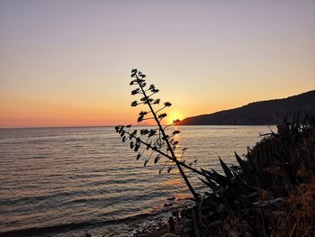 Scenic view of sea against sky during sunset