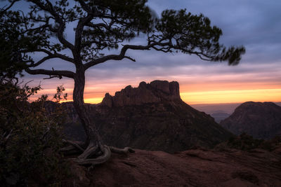 Scenic view of landscape against sky during sunset