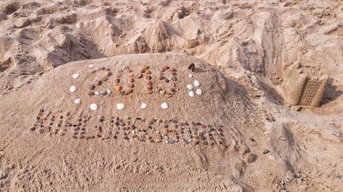 High angle view of rock on beach