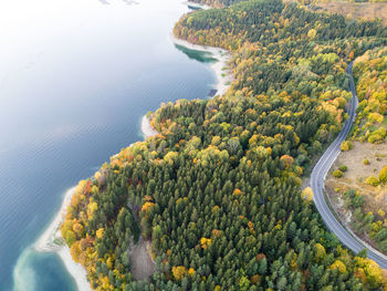 Idyllic road by the lake in autumn