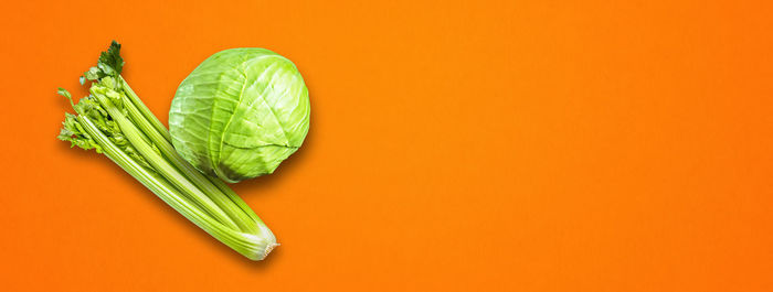 Close-up of green pepper against orange background