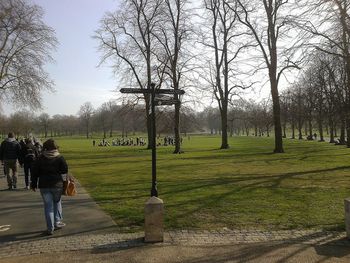 Trees on grassy field in park