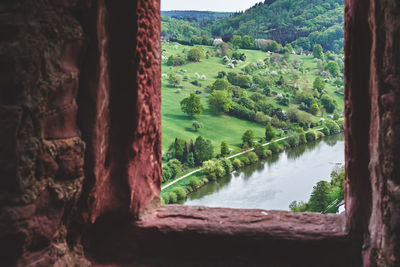 Scenic view of river amidst trees