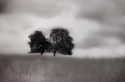 Scenic view of field against cloudy sky