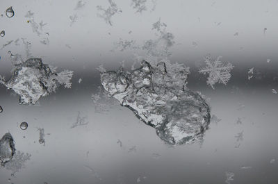 Close-up of water drops on glass
