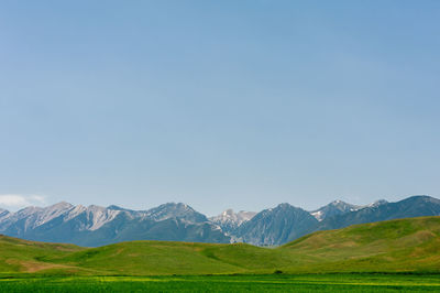 Scenic view of landscape against clear sky