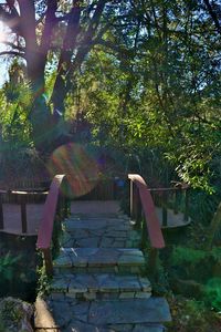 Low angle view of staircase in park