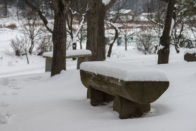 Snow covered benches by bare trees at park