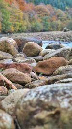 Surface level of pebbles