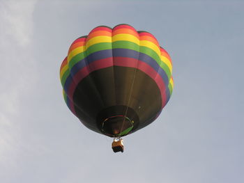 Low angle view of hot air balloons