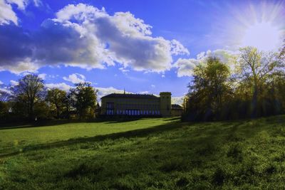 Trees on grassy lawn