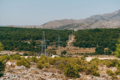 Scenic view of field against clear sky