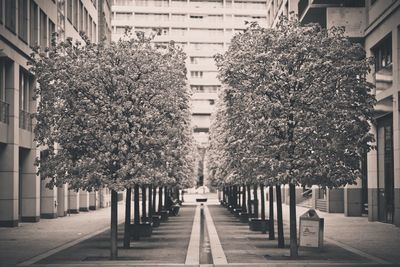 Empty road in city