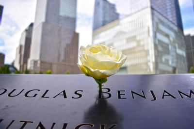 Close-up of text on flower in city