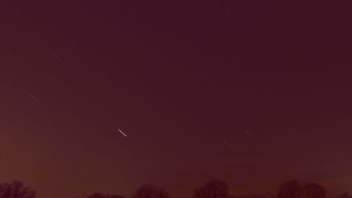 Low angle view of trees against sky at night