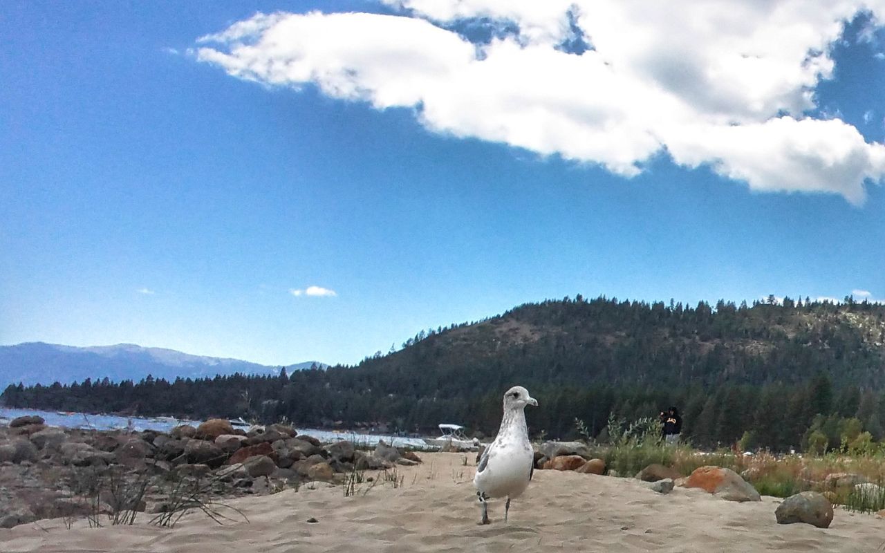 Laketahoebasin