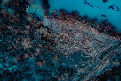 Aerial view of forest during winter