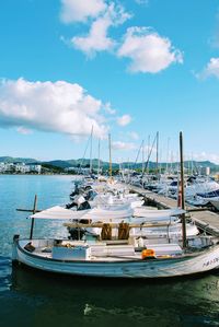 Sailboats moored in harbor