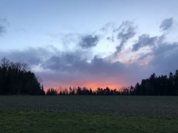 Scenic view of field against sky