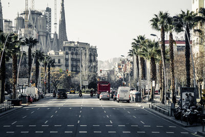 City street by palm trees against sky