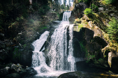 Scenic view of waterfall in forest