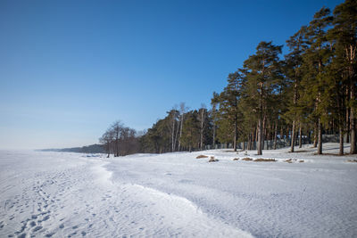 Snow covered landscape against clear blue sky