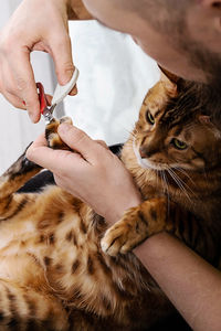 Owner clipping cat nails