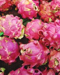 Full frame shot of pink roses