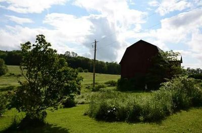 Scenic view of grassy field against cloudy sky