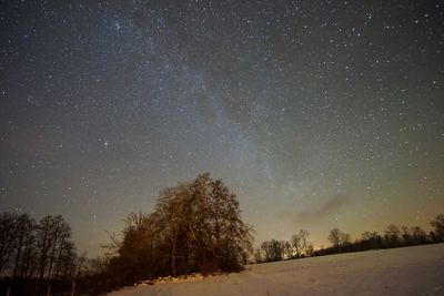 Low angle view of trees against sky at night