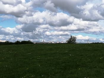 Scenic view of field against sky