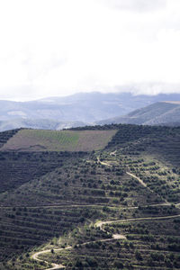 High angle view of field against sky