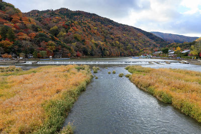 Scenic view of river amidst trees against sky