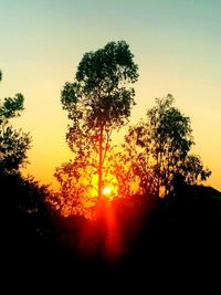 Silhouette of trees against sky during sunset