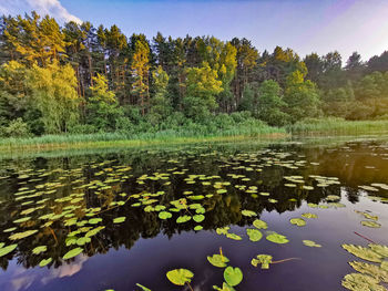 Scenic view of lake