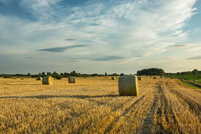 Wheels of hay in a stubble field, white clouds in the sky