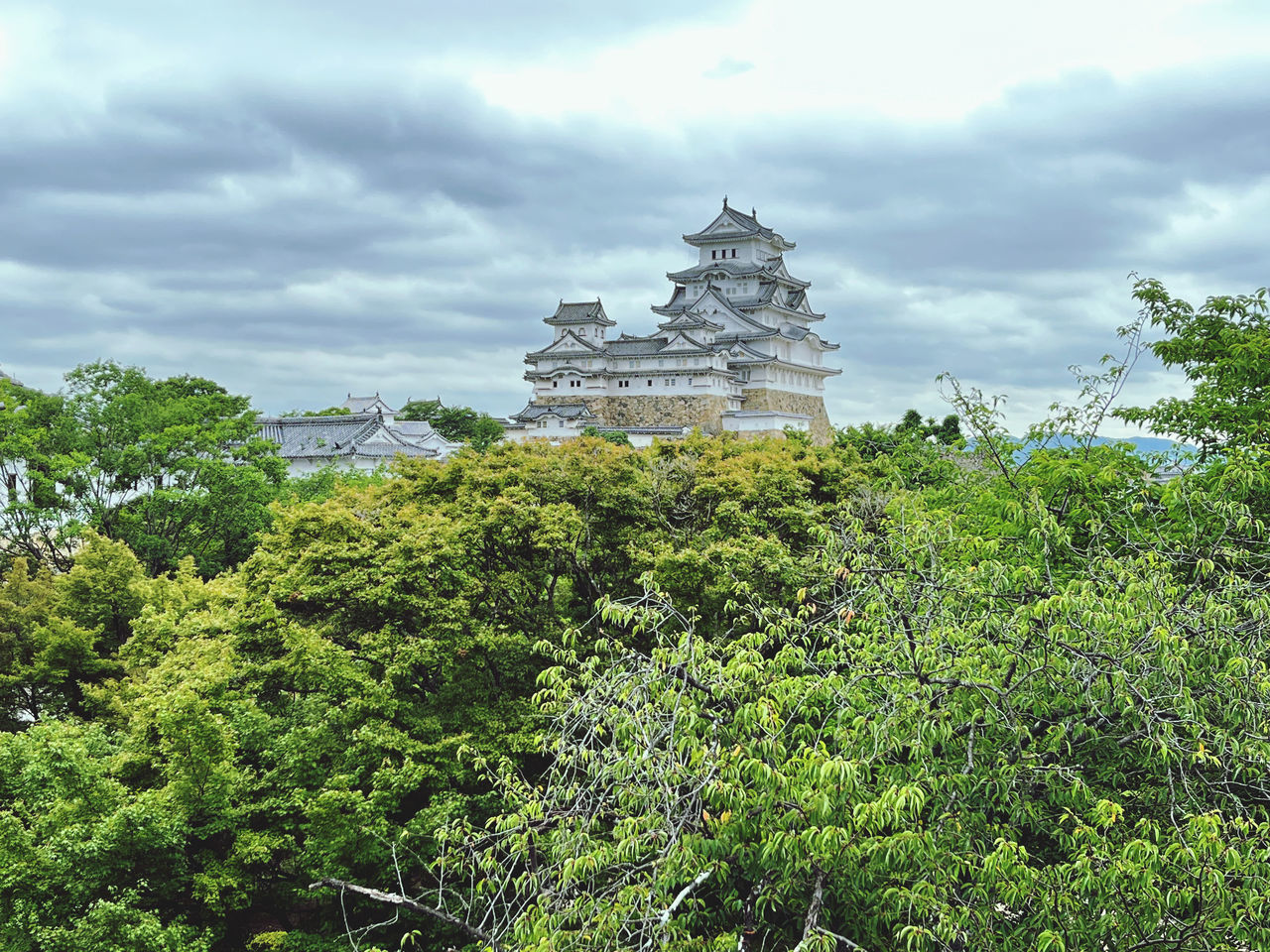 plant, temple - building, architecture, religion, tree, belief, built structure, cloud, nature, travel destinations, history, travel, sky, spirituality, the past, place of worship, building, tourism, building exterior, pagoda, ancient, environment, no people, green, outdoors, tradition, landscape, beauty in nature, land, flower, growth, day, scenics - nature, jungle