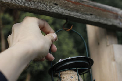 Woman's placing bird seed feeder.
garden wild bird feeder