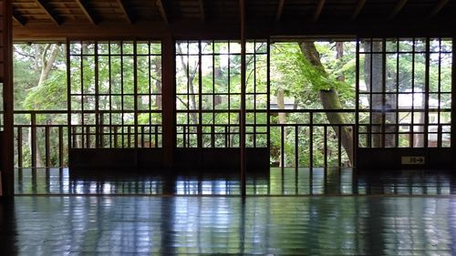 Reflection of trees on glass window