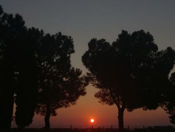 Silhouette trees against sky during sunset