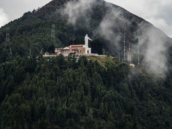 Panoramic view of trees and buildings against sky