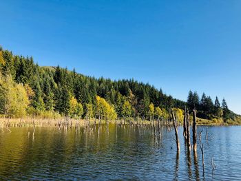 Scenic view of lake against clear sky