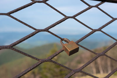 Close-up of padlocks on chainlink fence