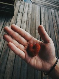 Close-up of hand holding fruit